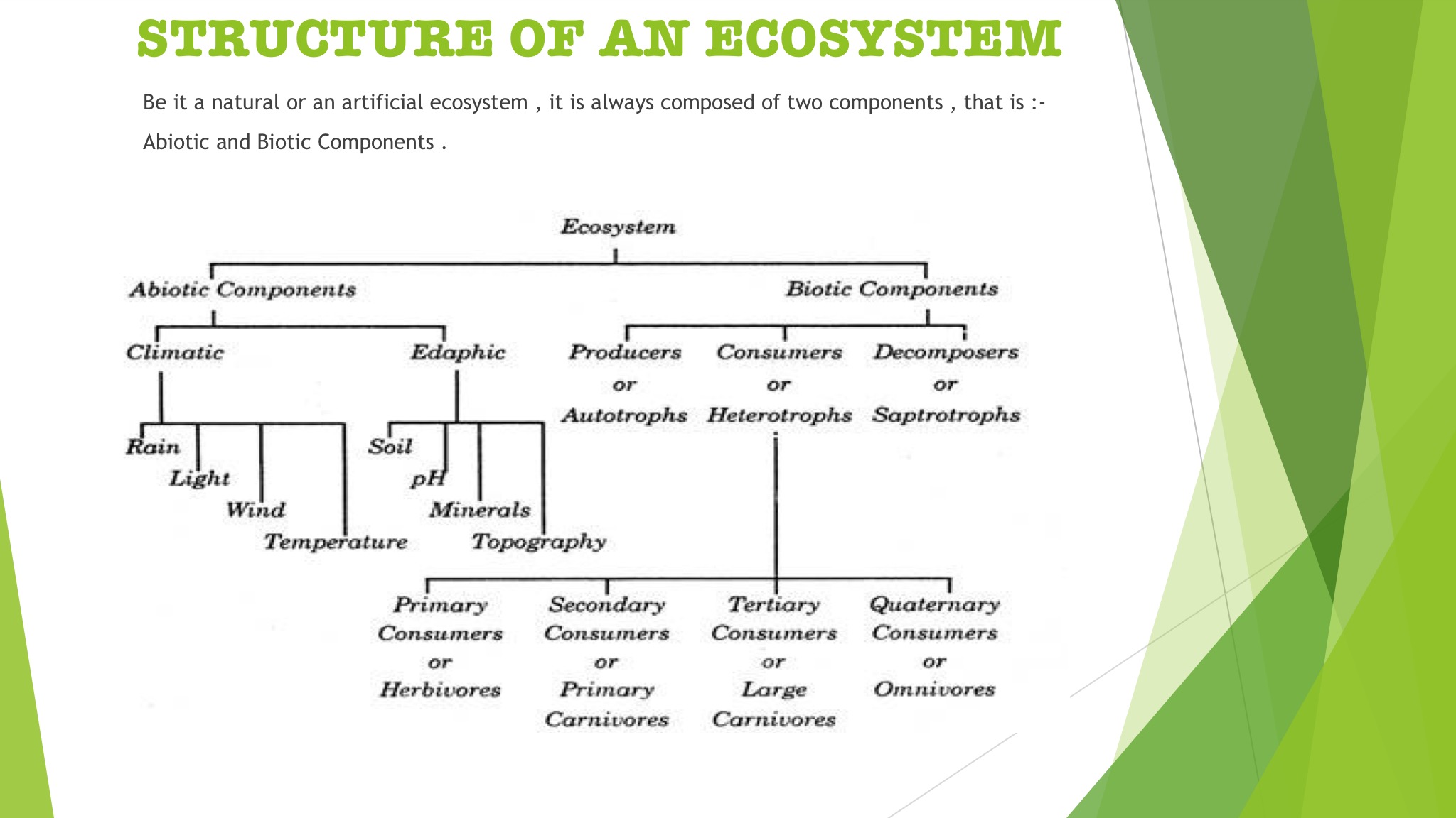 Ecosystem in hindi hindi crash course in environment and ecology