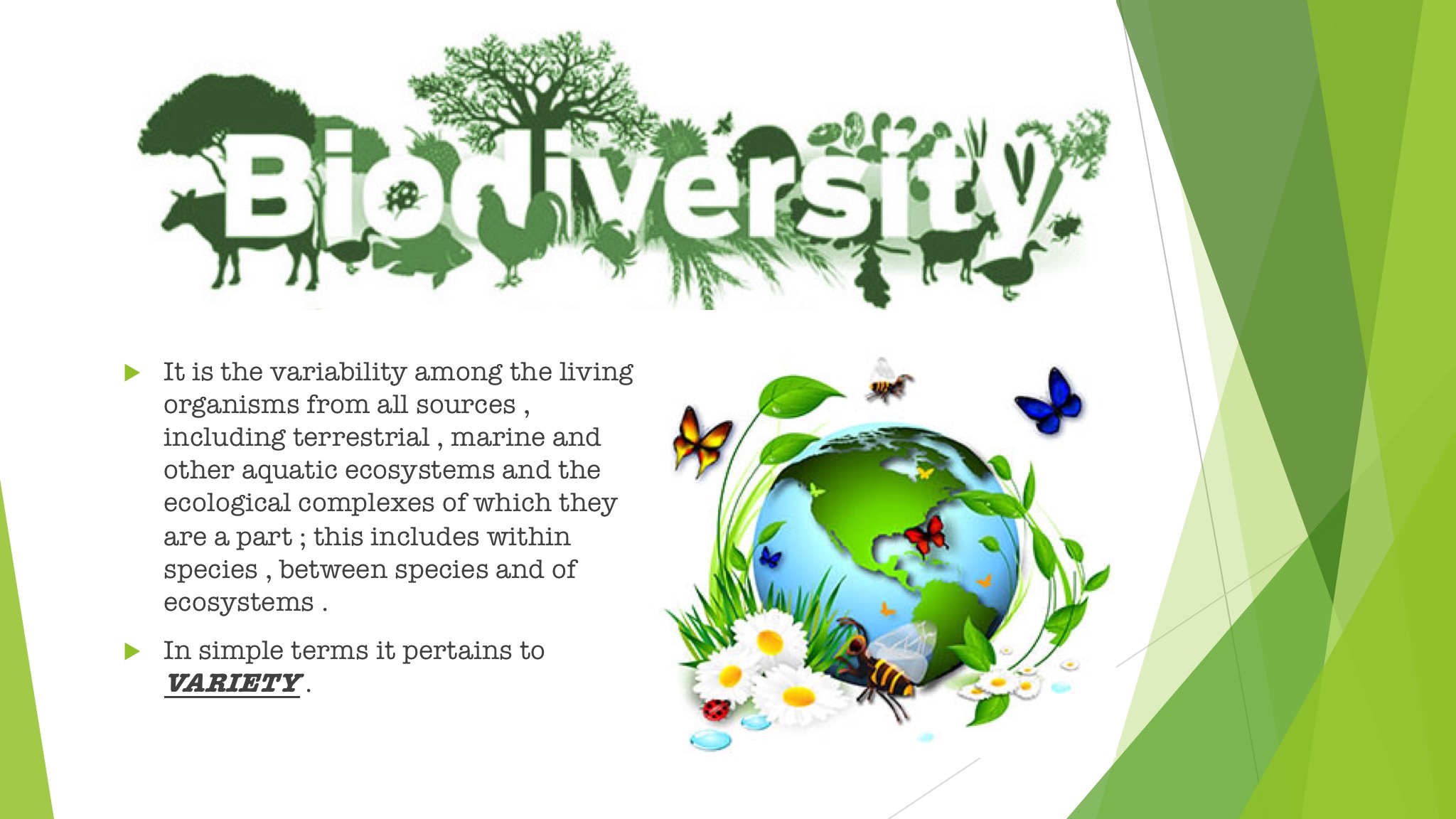 Biodiversity (in Hindi) (Hindi) Crash Course in Environment and